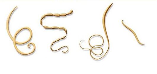 najpogostejše vrste parazitov