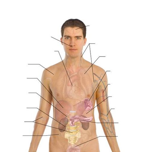 znaki prisotnosti parazitov v različnih organih